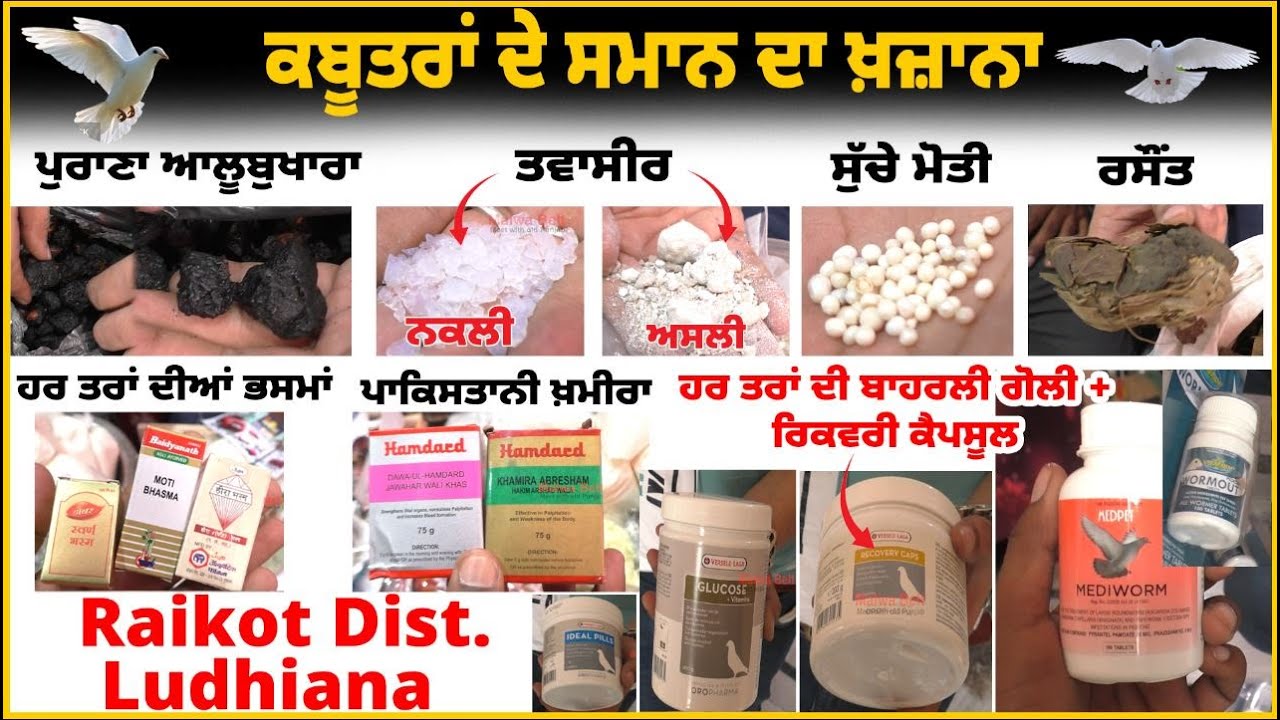 🕊️ ਕਬੂਤਰਾਂ ਦੇ ਸਮਾਨ ਦਾ ਖ਼ਜ਼ਾਨਾ | ਹਰ ਤਰਾਂ ਦੀ ਬਾਹਰਲੀ ਗੋਲੀ + ਰਿਕਵਰੀ ਕੈਪਸੂਲ | ਸੁੱਚੇ ਮੋਤੀ , Pakistani ਖ਼ਮੀਰਾ