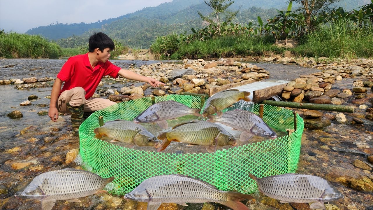 Using ancient fishing techniques, the boy Lam was lucky enough to catch a large haul of fish.