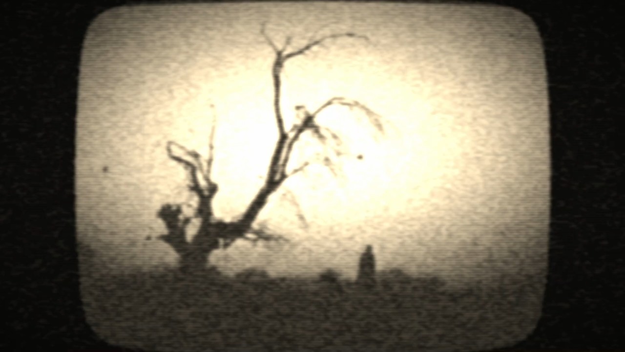 heavy as wet wood in october