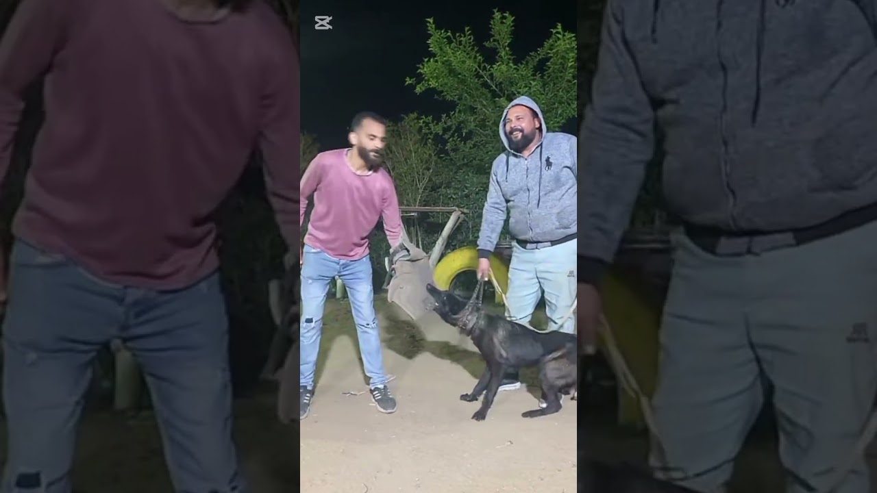 الحراسه الشخصيه والكنترول مع البطل القادم ننچا