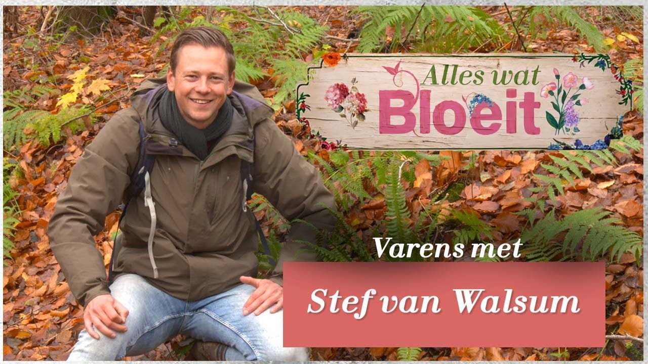 Varens | Alles Wat Bloeit