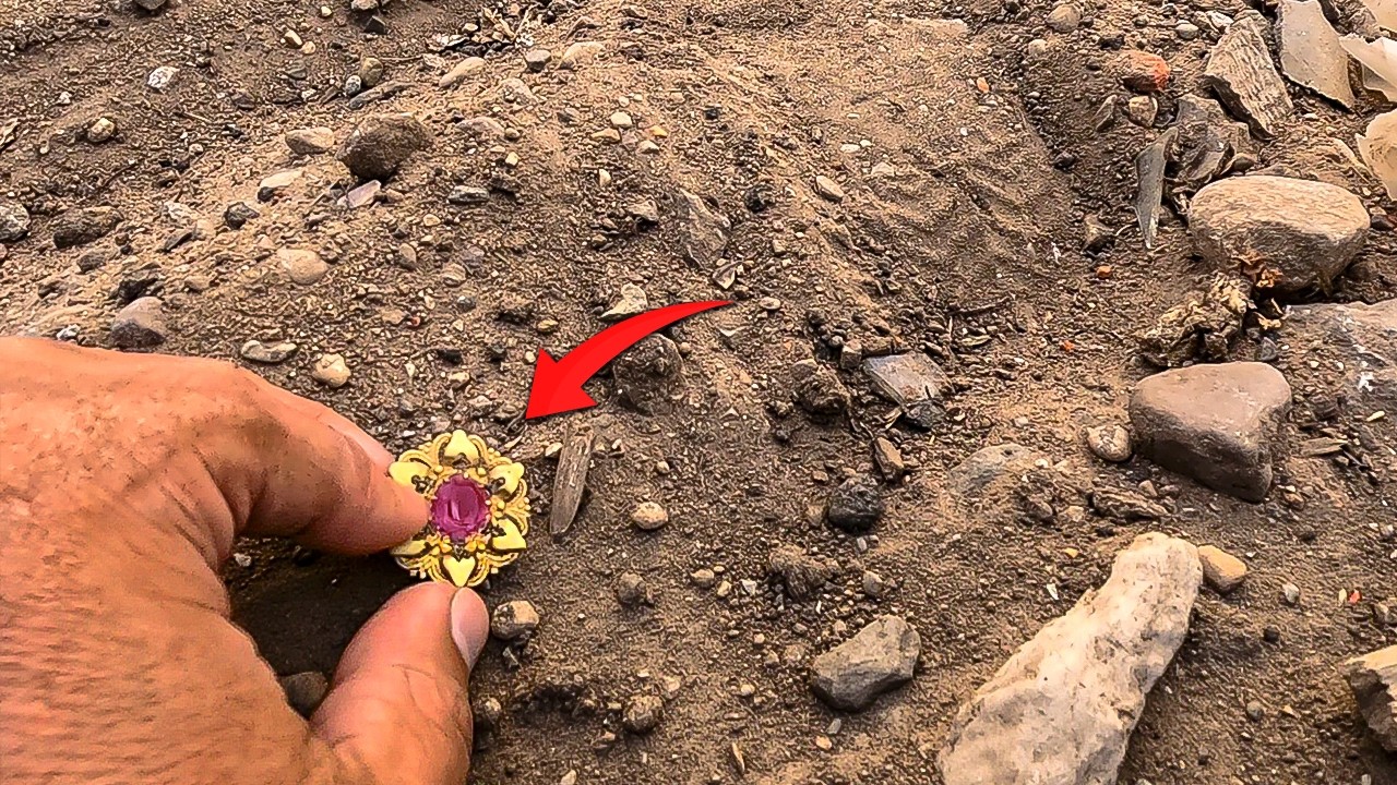 What I Found at the Dump! The Result Will Surprise You