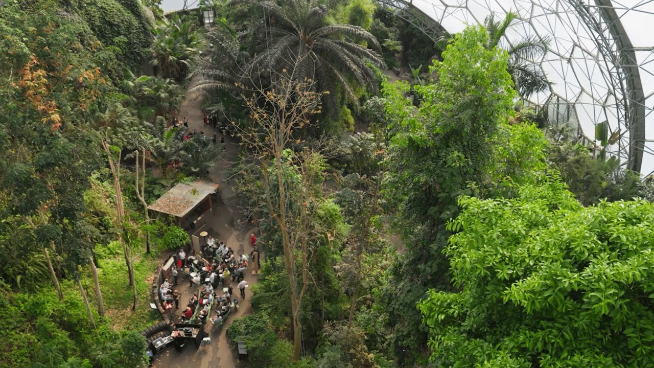 Anthropy25 Highlights