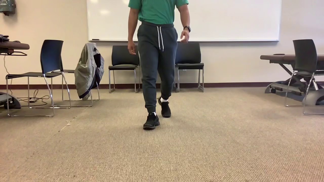 Normal Gait: Anterior View