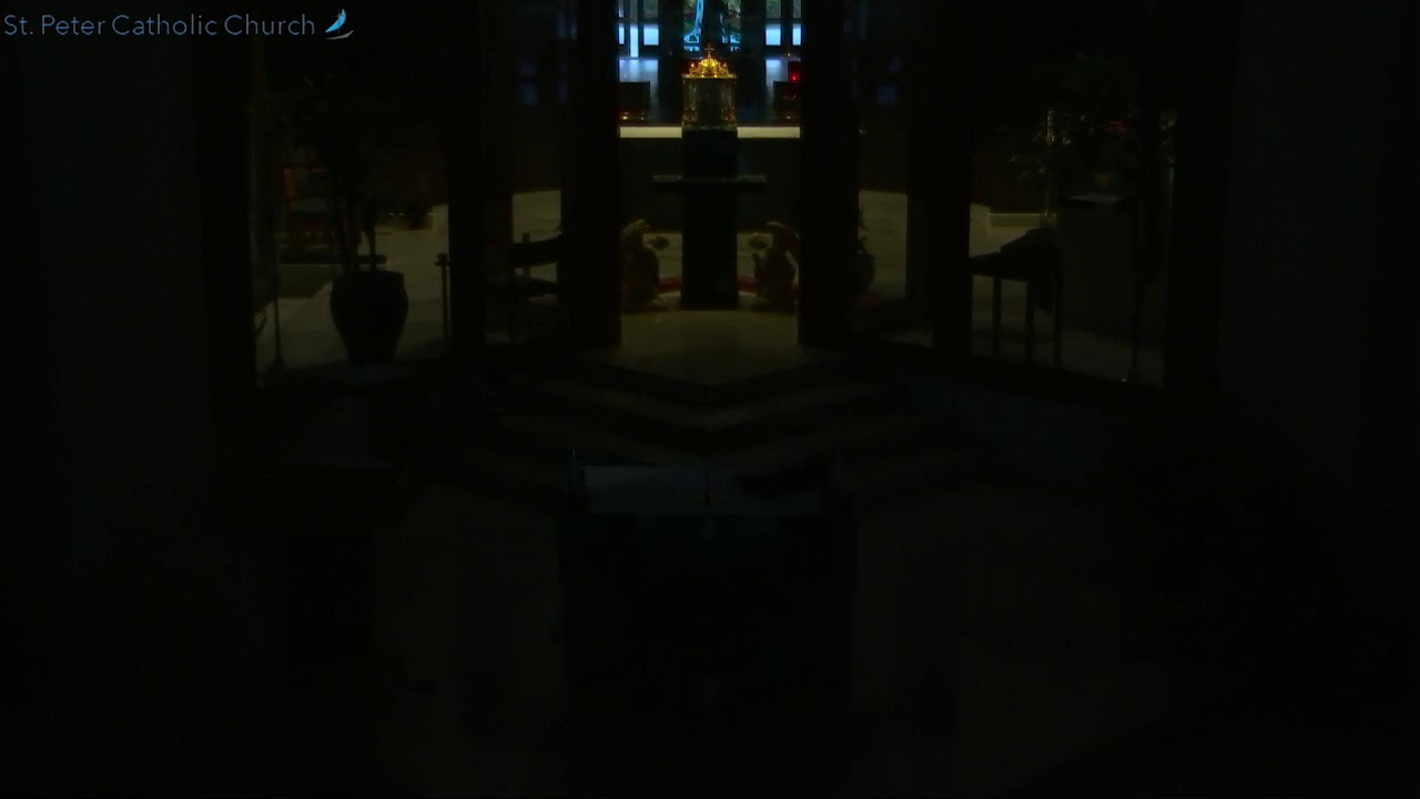 5:00 pm Sunday Mass - Life Teen February 8, 2026