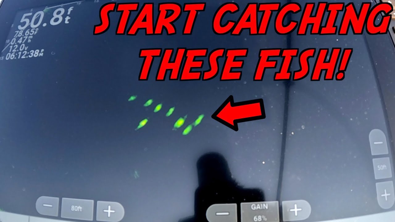 This WILL CHANGE the Way you Fish for Suspended Bass!
