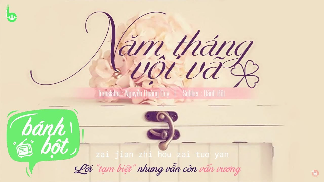 [Vietsub + Pinyin] Năm Tháng Vội Vã | 匆匆那年 - Vương Phi