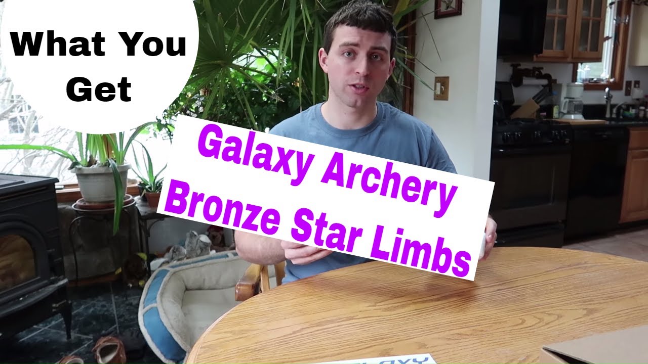 What You Get Galaxy Archery Bronze Star ILF Recurve Limbs