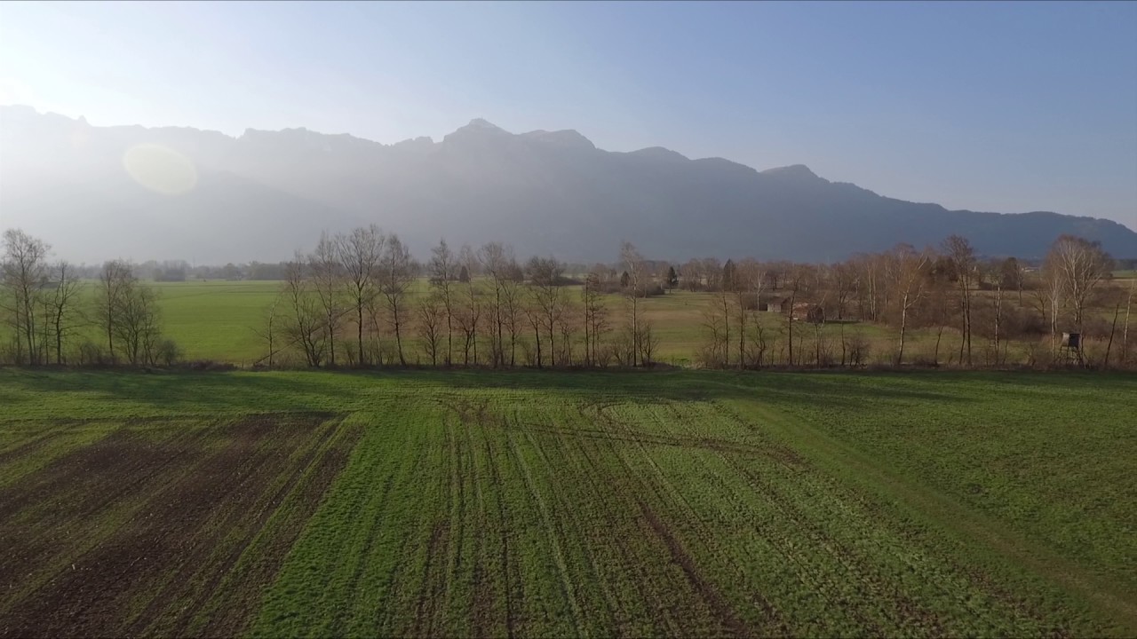 Landscape Ruggell