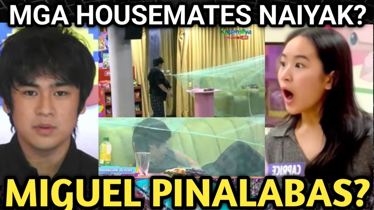 PBB Collab 2.0: February 17, 2026 | Miguel 2nd Sacrifice! Sa labas natulog! Pbb updates