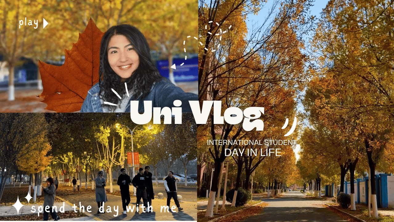 UNI VLOG | Day in life | Fall days | Tianjin University 🇨🇳