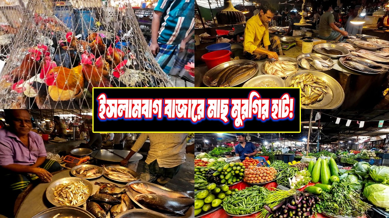 লালবাগ ইসলামবাগ বাজারের ভিতরের দৃশ্য | নদীর মাছ, রাজ হাঁস আর দেশি মুরগির সমাহার | Fish Market Dhaka