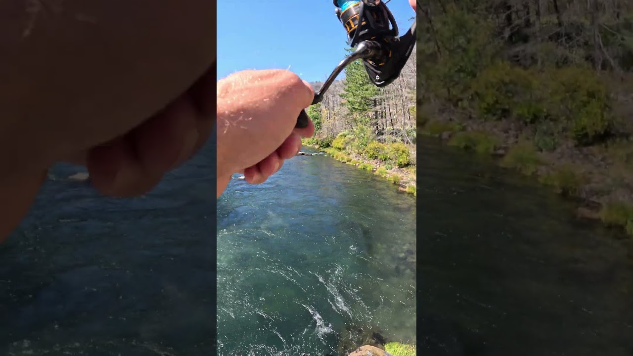 The Sound of a Fishing Reel taking Drag 