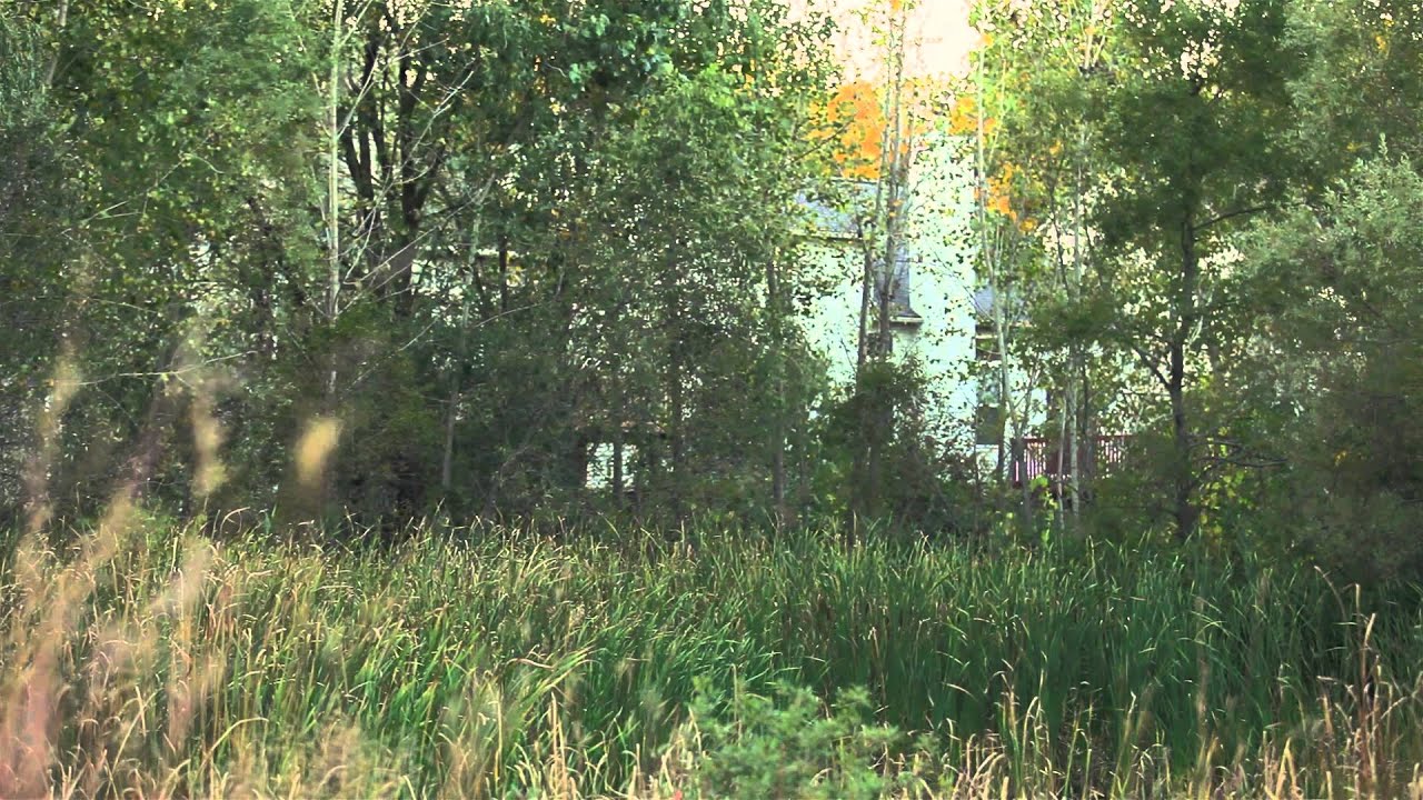 Foxfire, Arbor Hills, Fleming Creek & Glacier Highlands neighborhoods in Ann Arbor, MI