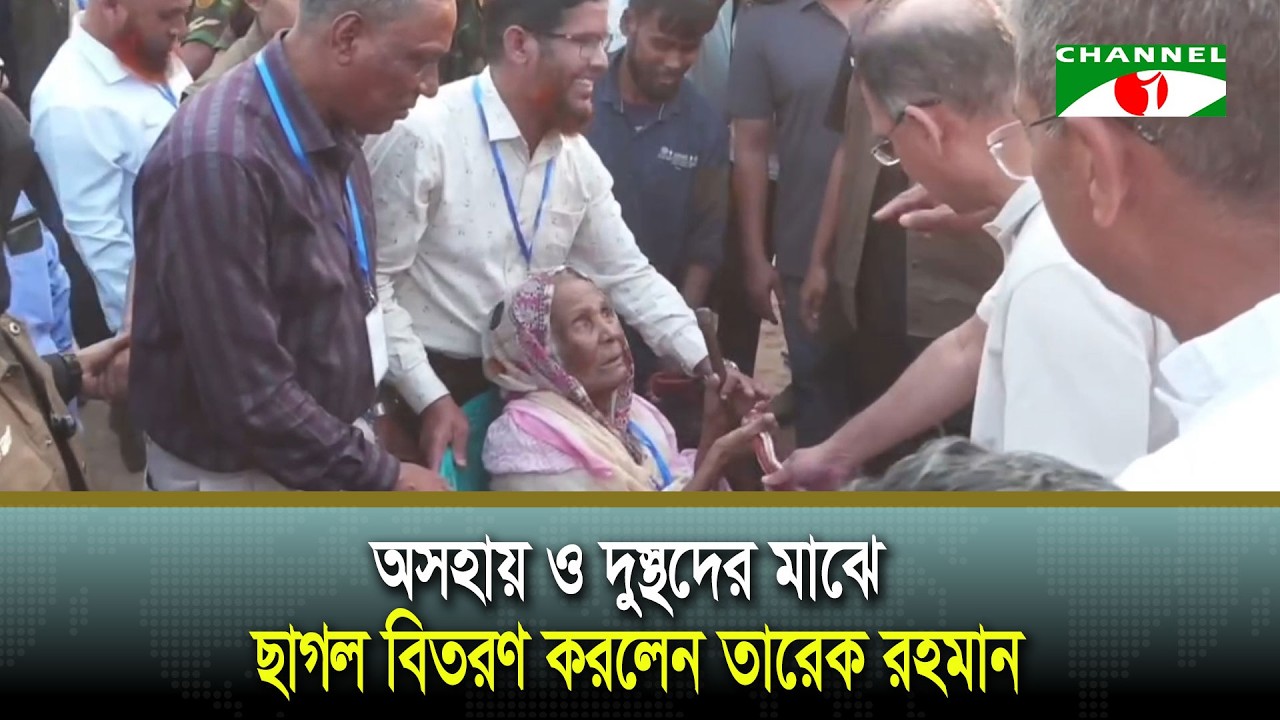 অসহায় ও দুস্থদের মাঝে ছাগল বিতরণ করলেন তারেক রহমান