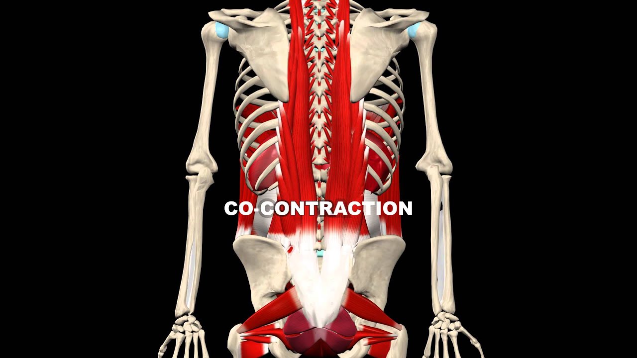 Abdominal Bracing