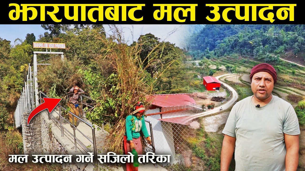 झारपातबाट प्राङ्गारिक मल उत्पादन - Producing organic manure from weeds