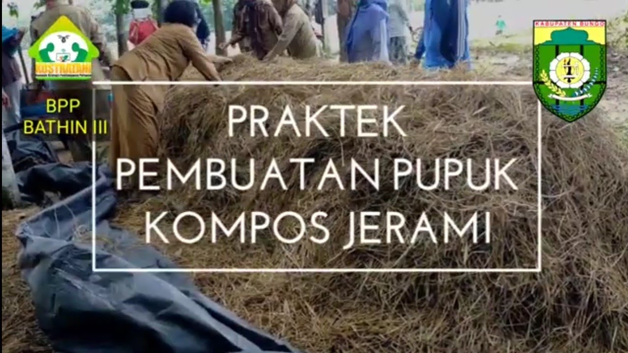 Praktek Pembuatan Pupuk Kompos Jerami