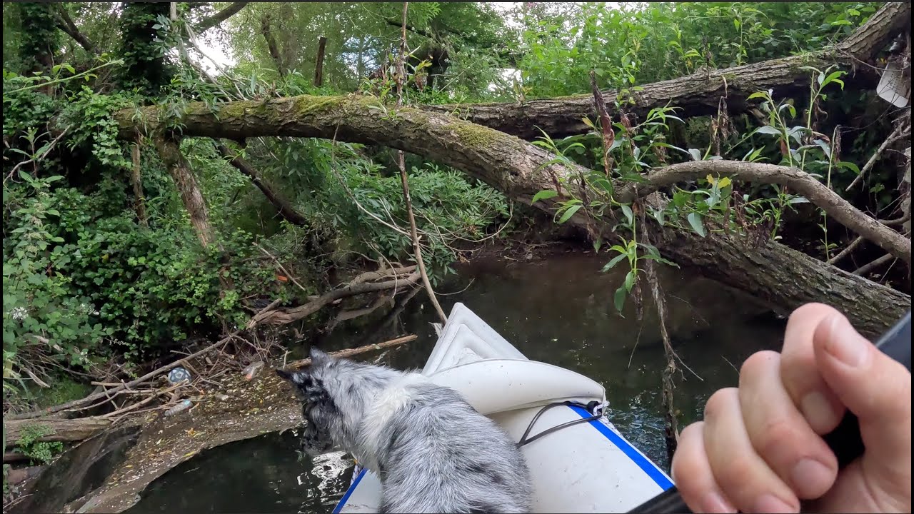 Kayaking Birmingham's hidden culverts with my dog