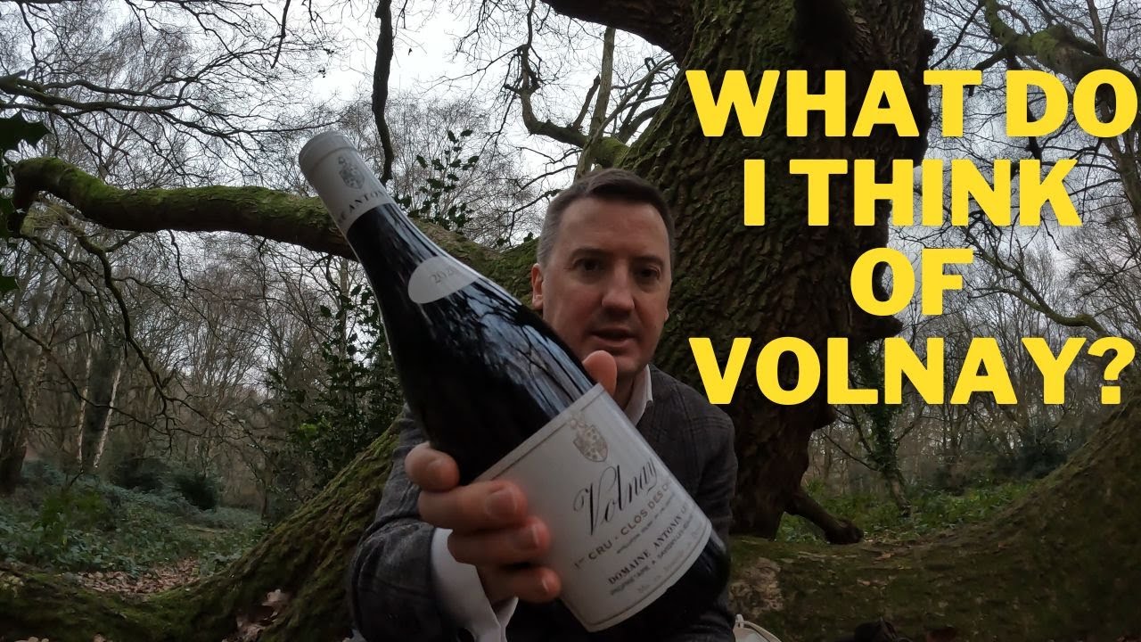 Antonin Guyon Volnay 1er Cru 