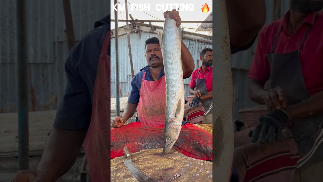 KASIMEDU 🔥 SPEED SELVAM FISH CUTTING VIDEO #kasimeduselvam #speedselvamcutting #fishcutting #shorts