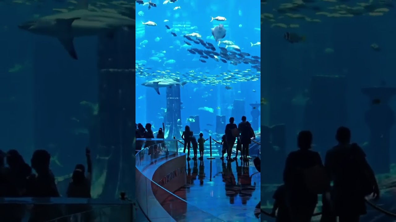Dubai mall aquarium