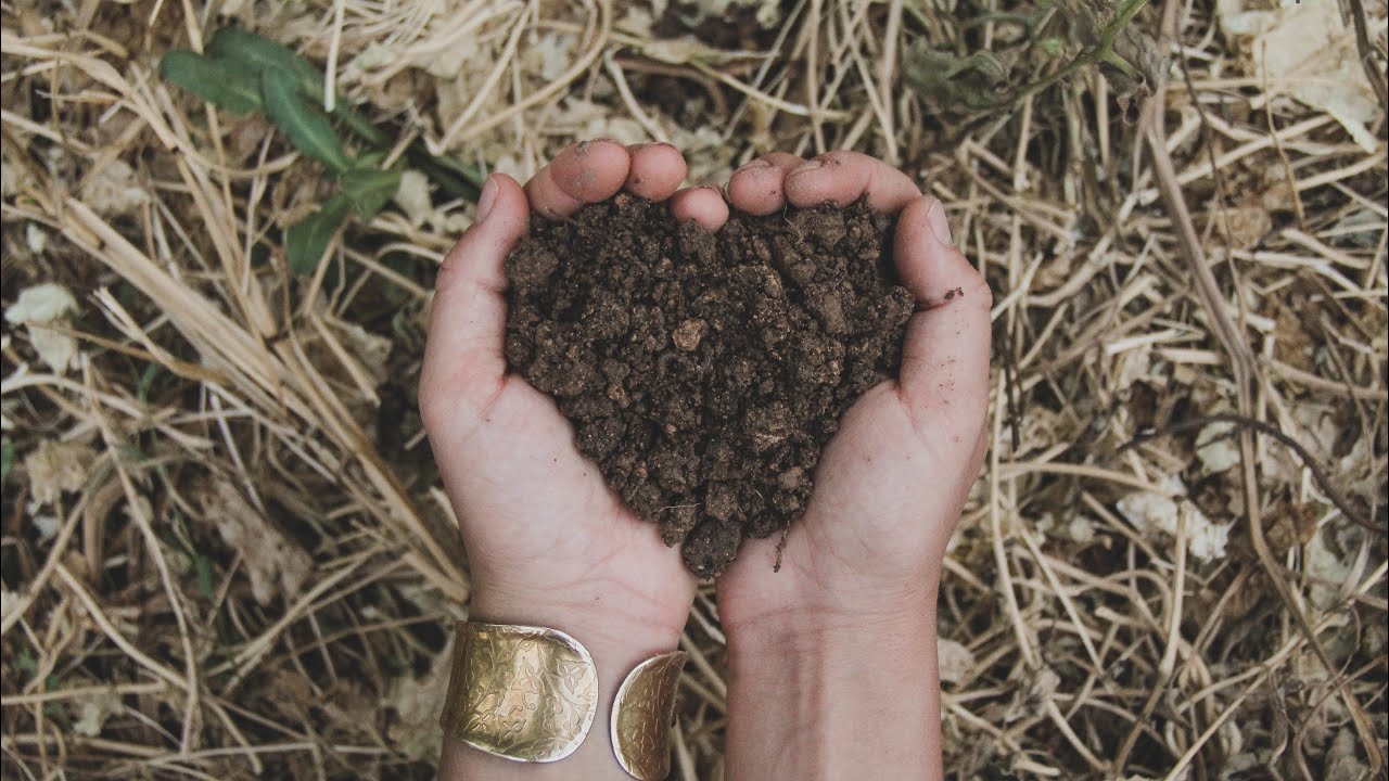 Preparación del Terreno para el Cultivo (No Laboreo) - Semillero de Cebollas y Siembra de Guisantes