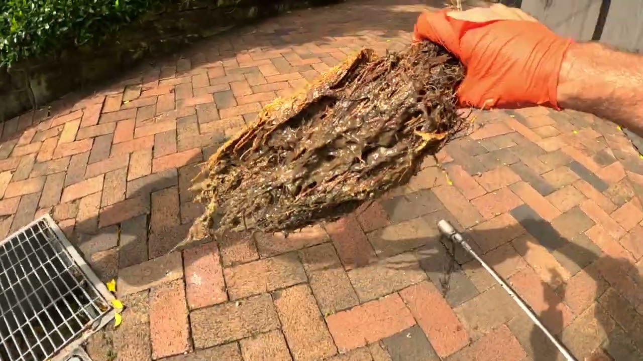 Drain Cleaning Uncut - # 139 👍