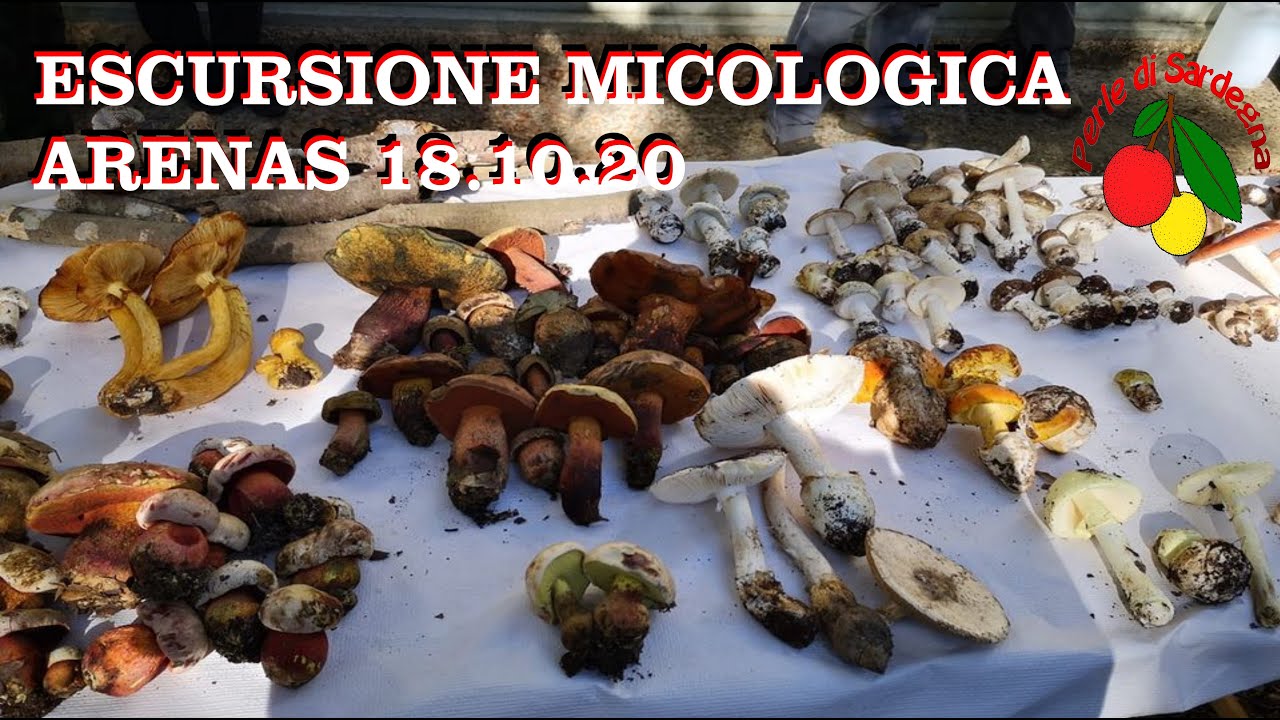 Escursione micologica Arenas 18.10.20