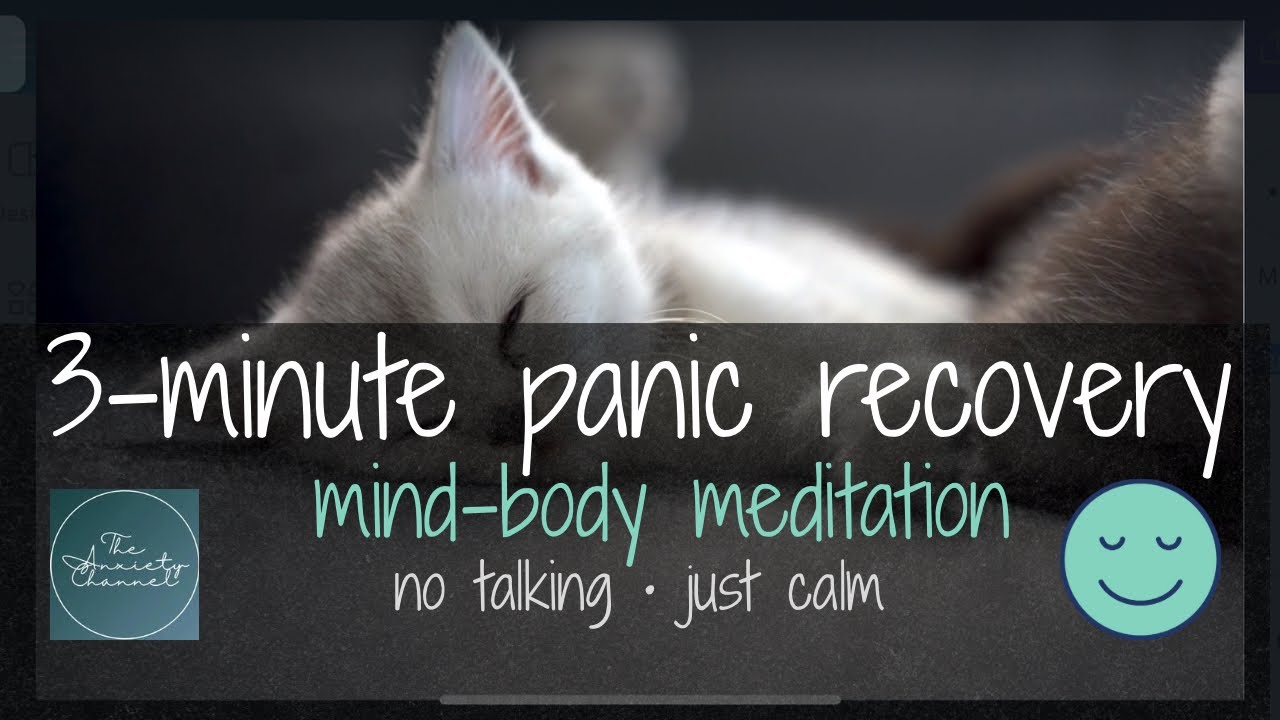 Panic Attack Recovery • Regain Control • 3-Minute Mind-body Meditation