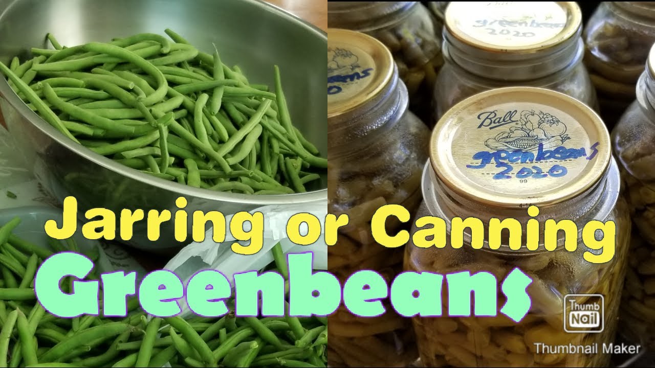 How to Preserve GREEN BEANS in JARS || Step-by-step Jarring or Canning Process.