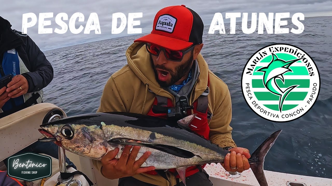 Pesca de atunes con  mis amigos de 