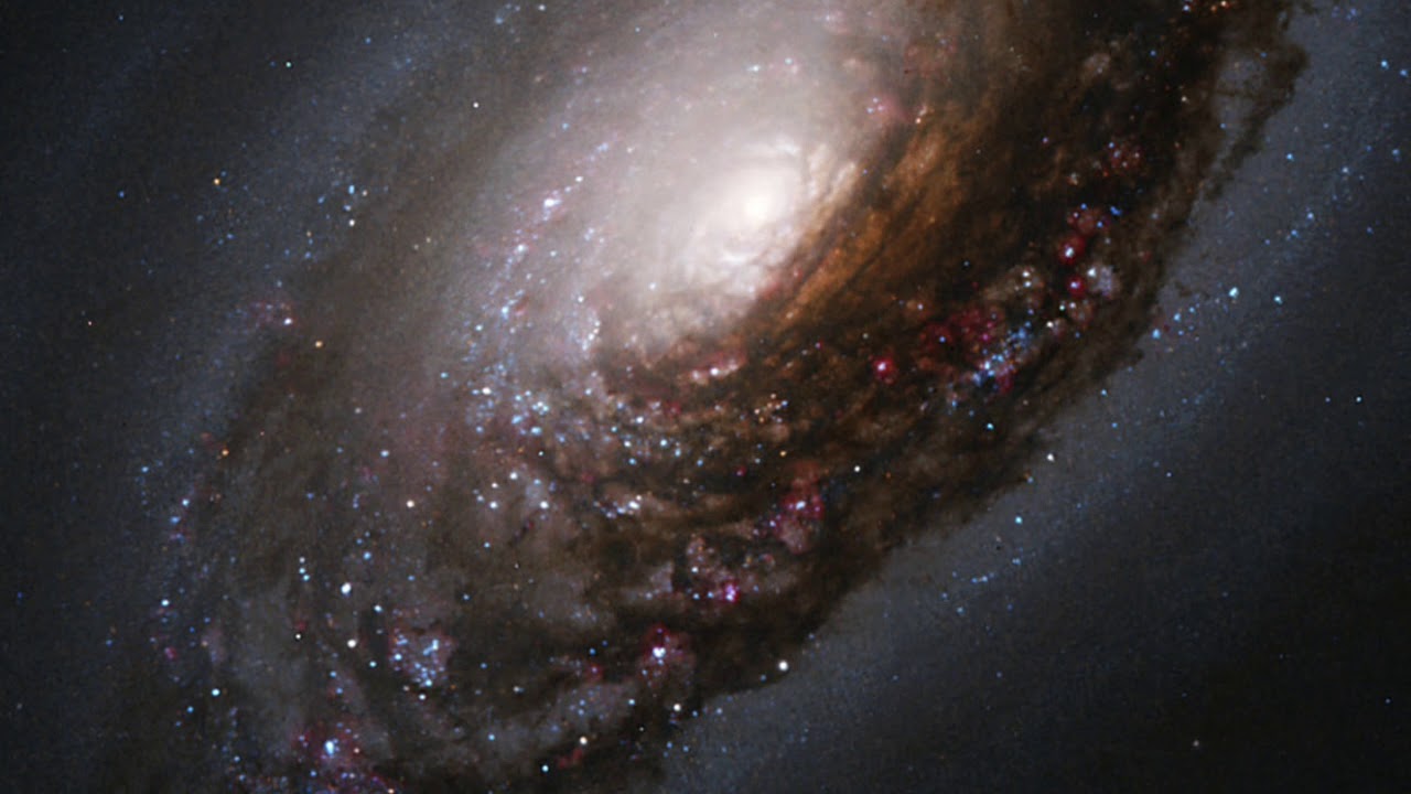 10 Alien First Contact Scenarios