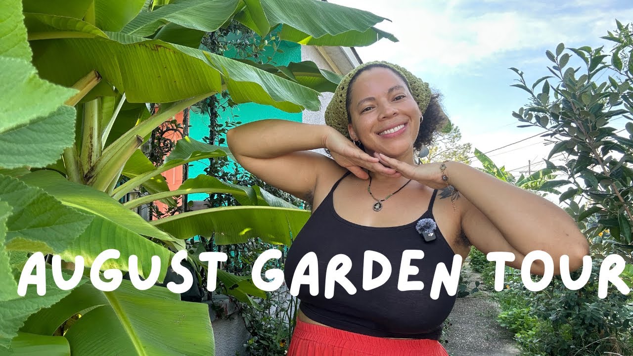 My Small Urban Garden in August | Zone 9b