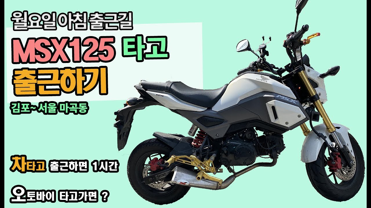 msx125 바이크 타고 출근 / 오토바이 출근 / 월요일 출근길