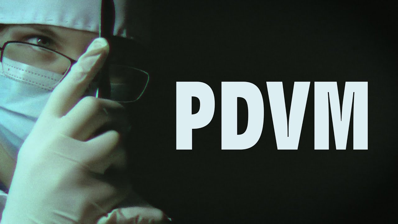 [Music Video] PDVM (Пьяному доктору высшую меру)
