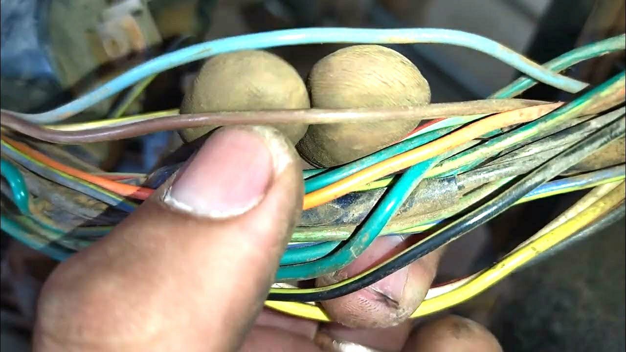 Chicote fiação da biz como funciona?