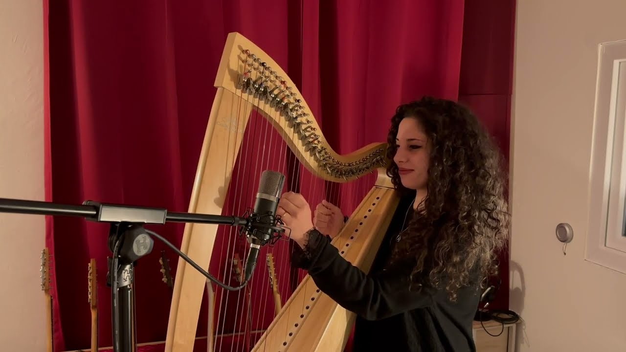 The Humours of Ballymanus Jig - Stellar X2 Vintage