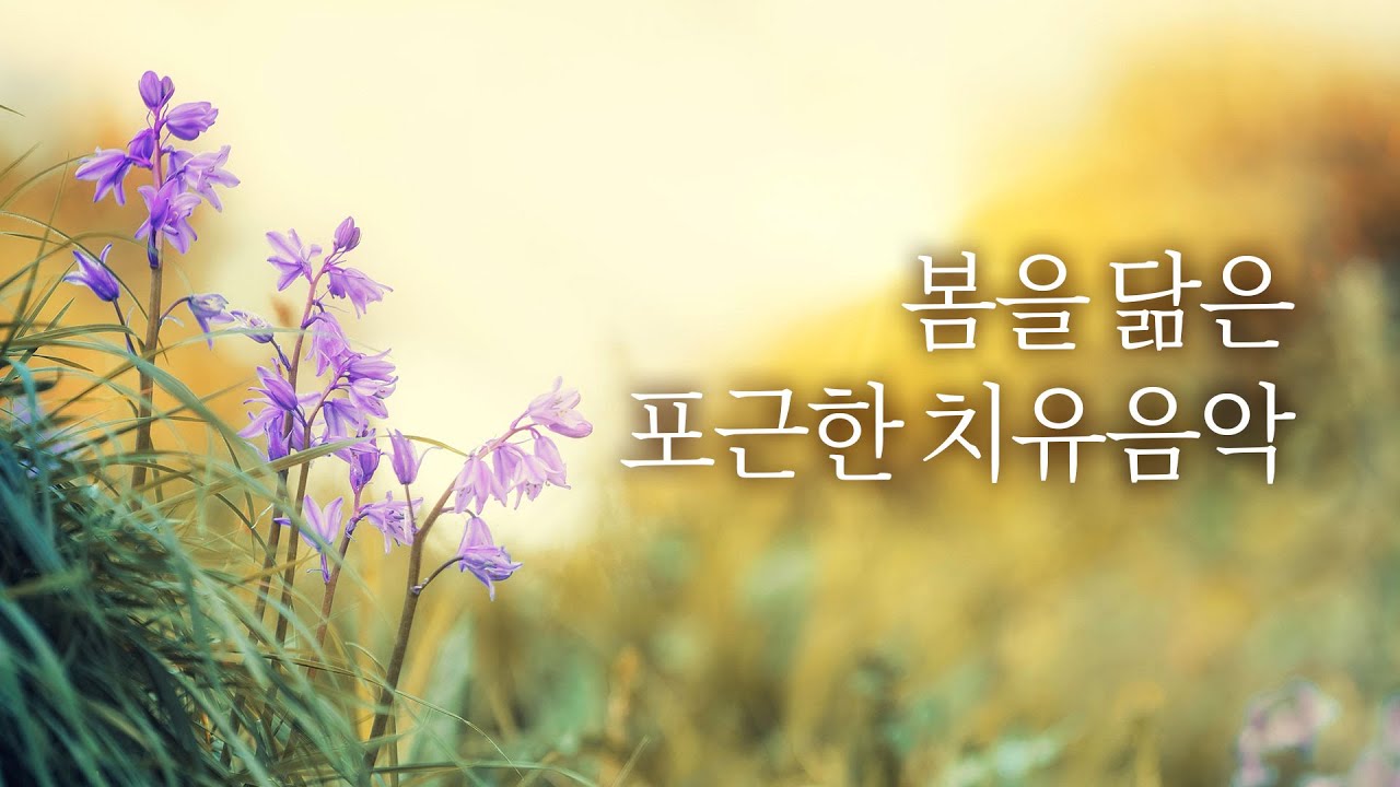 마음이 편안해지는 포근한 치유명상음악 | 5시간, 힐링음악, 새 소리 | Relaxing Music, Healing Music