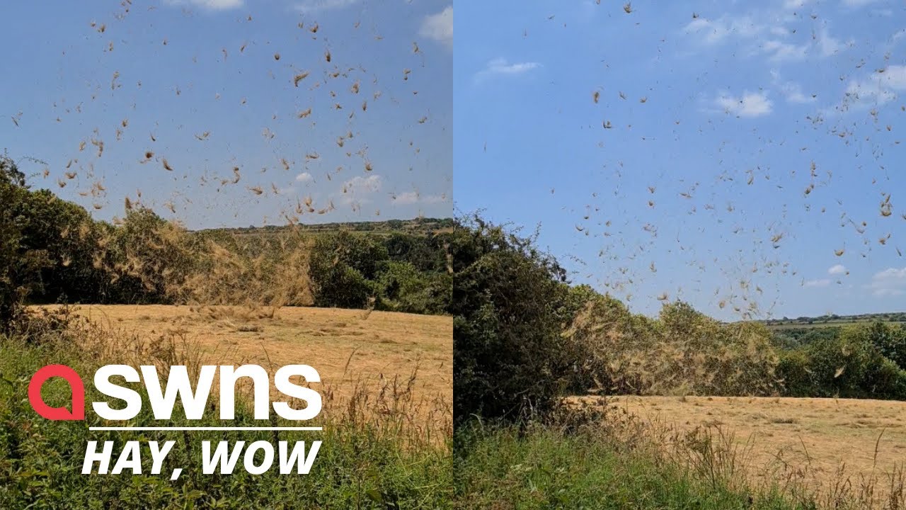 This footage shows a 'dust devil' caught on video in a British field | SWNS