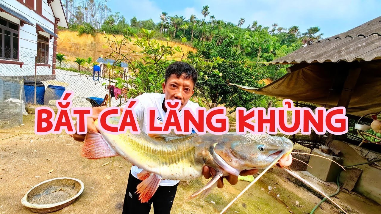 Bắt Cá Khủng ao nhà