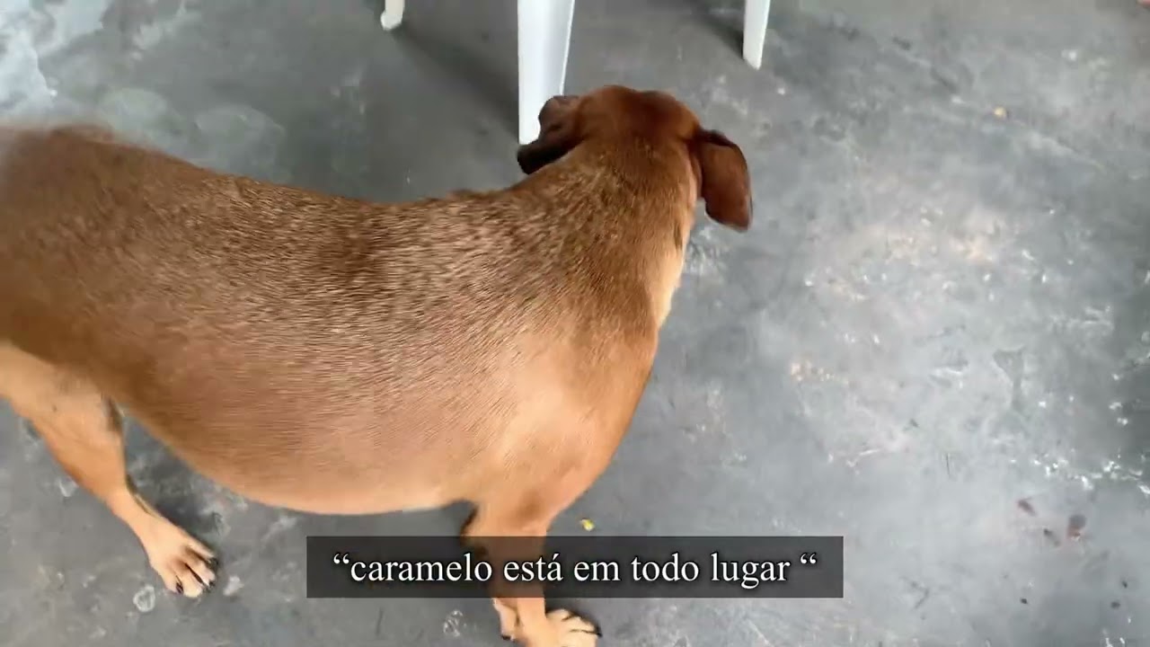 Primeira viagem do “Seu Tião” Retiro espiritual em Araguaína Tocantins !!