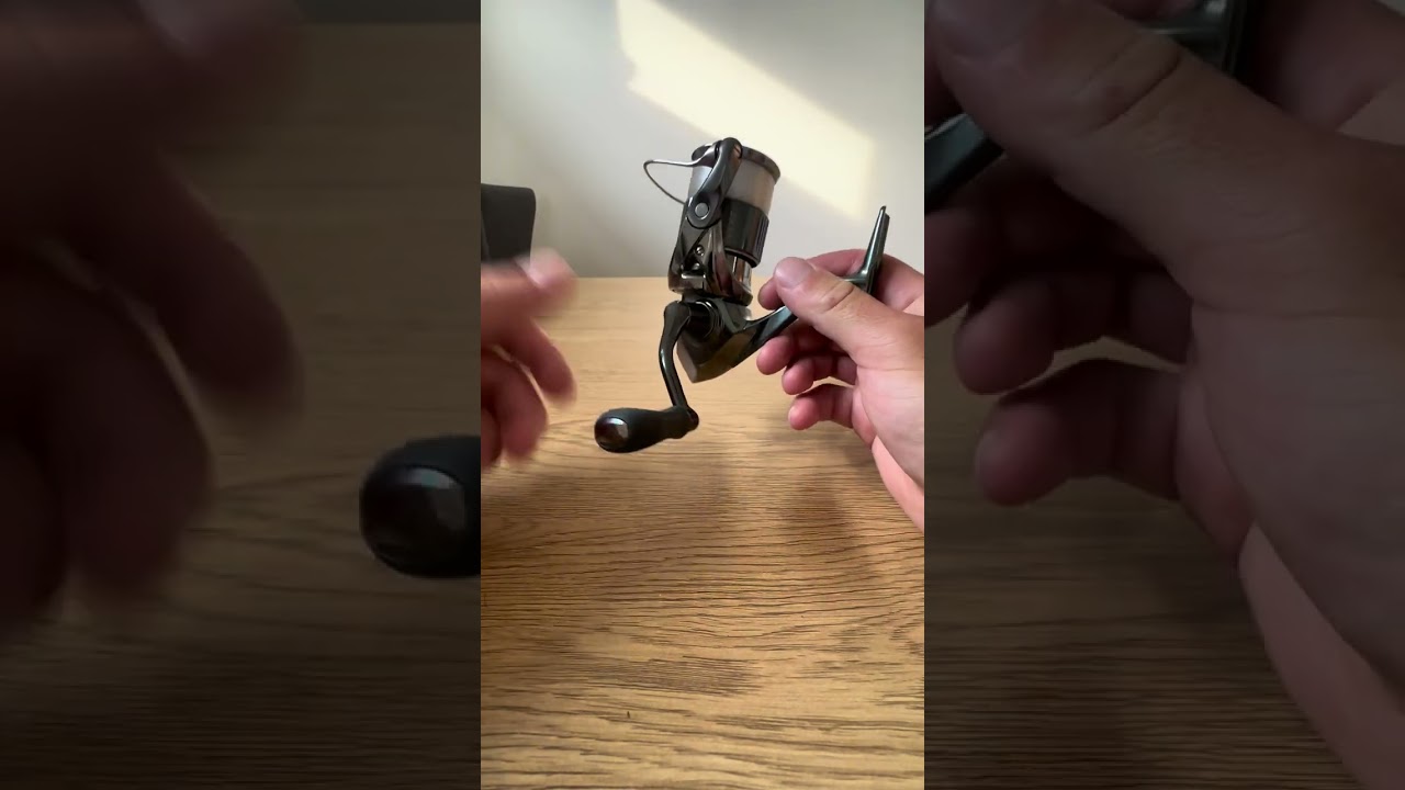 Should you choose a shimano Vanquish or Stella?