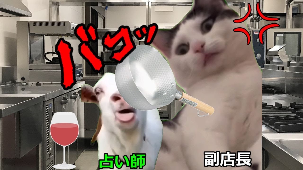 【猫ミーム】自分磨きをする占い師！！