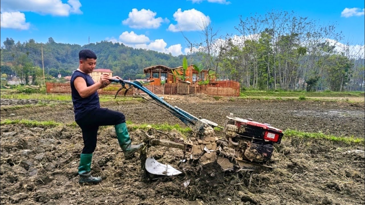 CEO Trieu Nguyen restores barren land. Hoping for a better future.