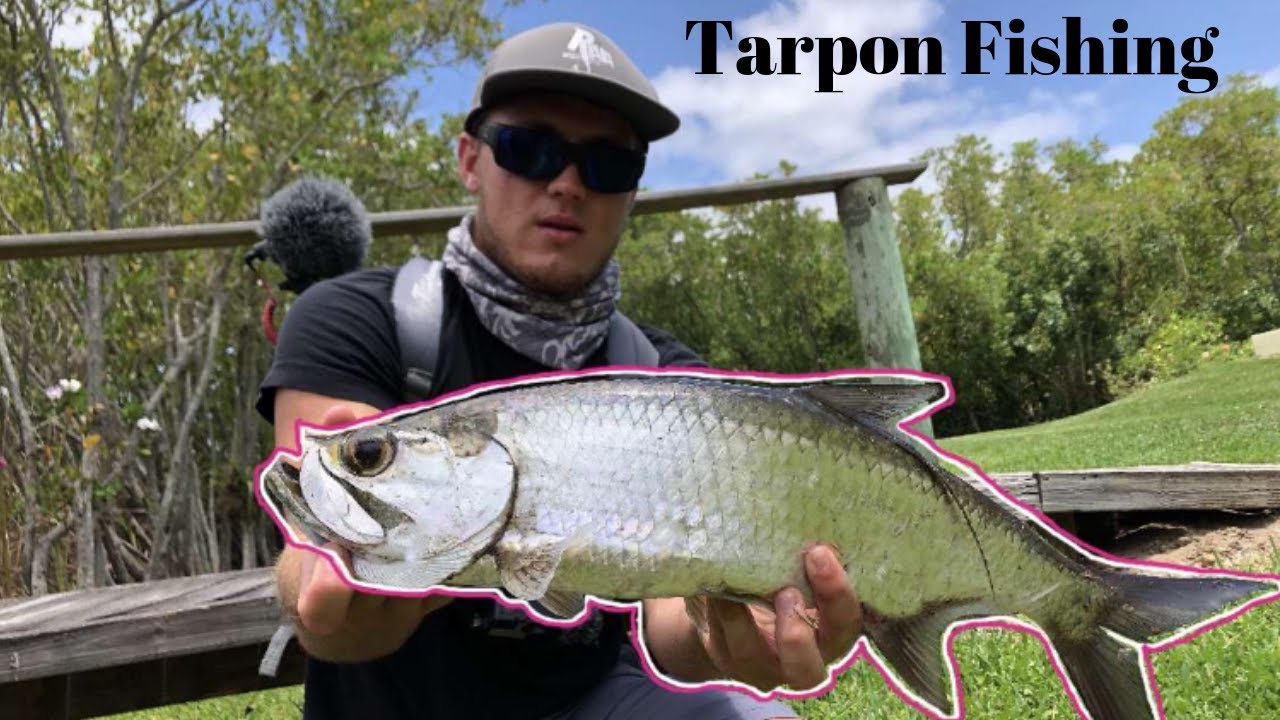 Tarpon Fishing in Ponds!!!!