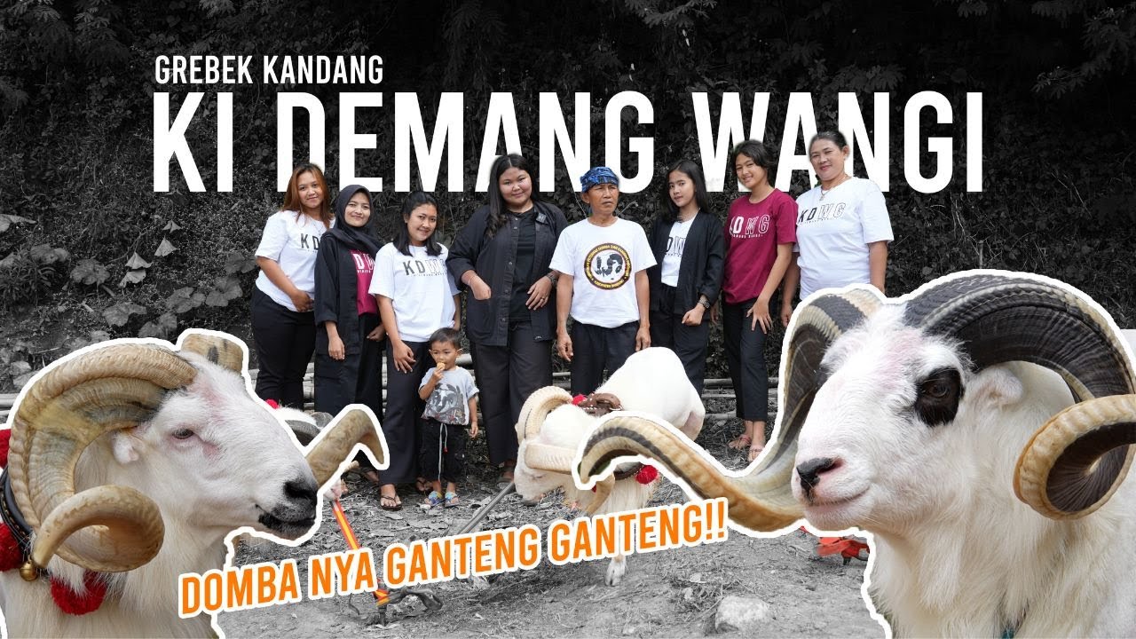 #GREBEGKANDANG EPS7. LIAT KOLEKSI TERBAIK PDP KI DEMANG WANGI!!!