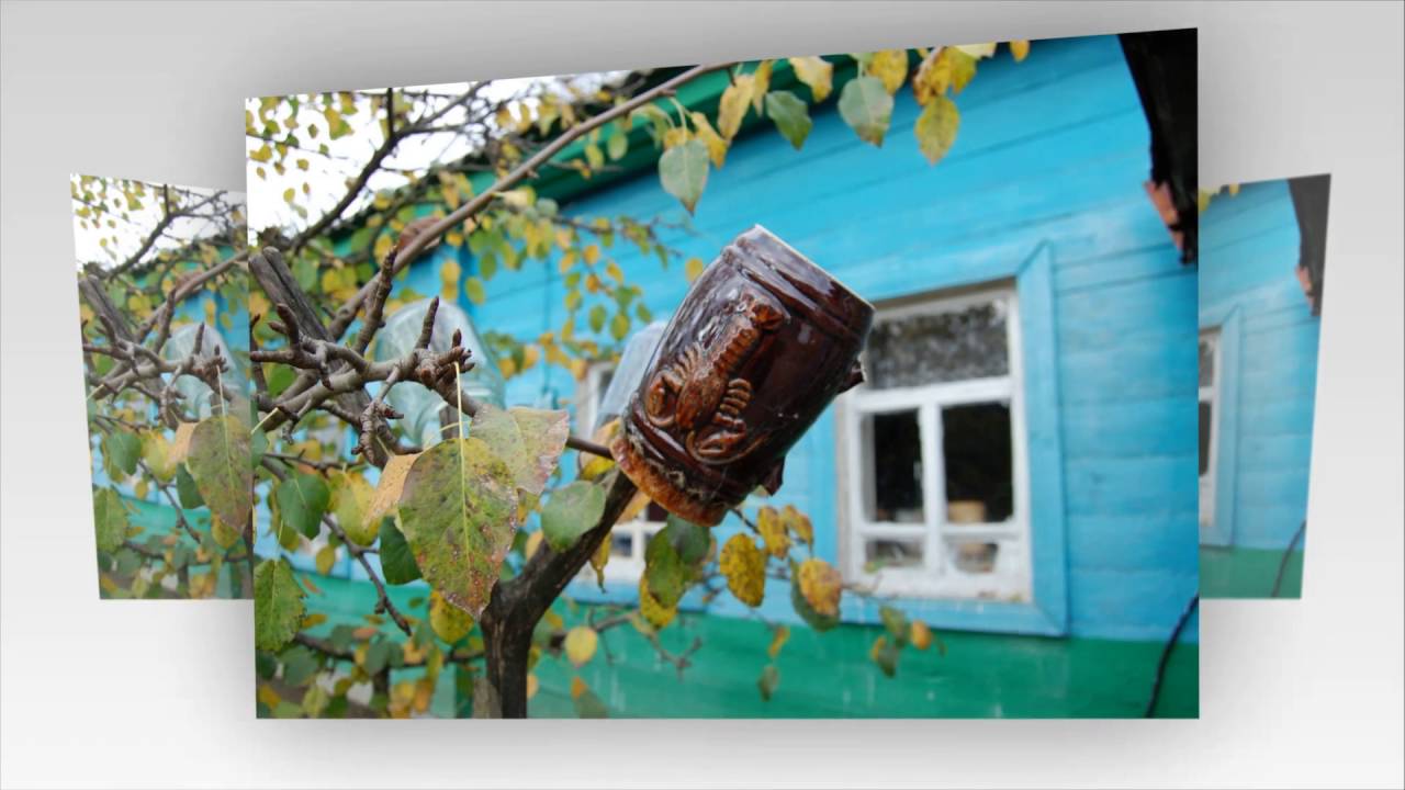 Жихово и Гутко - Ожинка наша малая Родина  Середино-Будский р.,  Сумская обл.