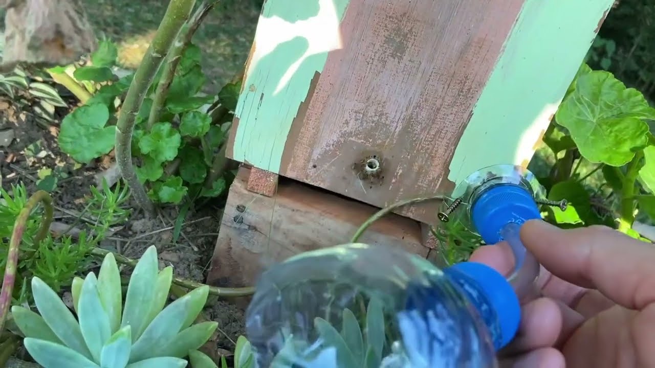 TIVE que Instalar Essa PROTEÇÃO contra a LIMÃO nas JATAÍS!