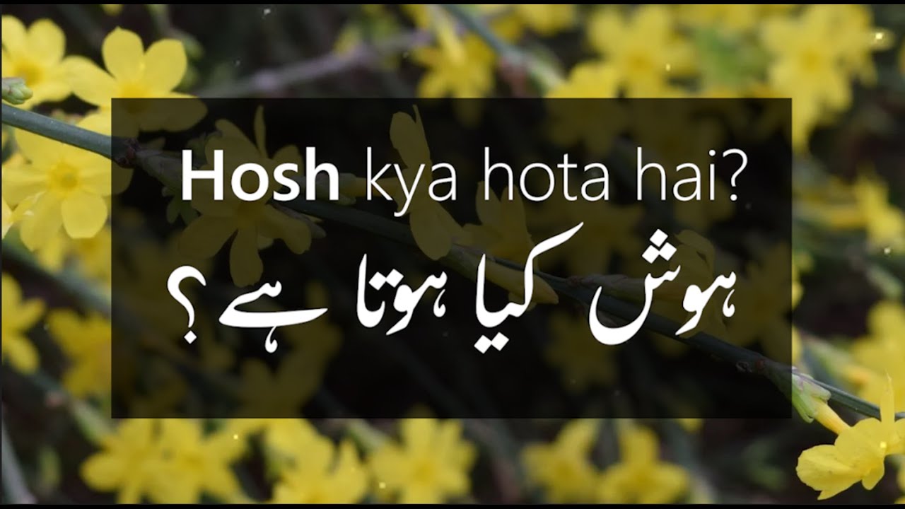 Consciousness kya hai? | ہوش کیا ہوتا ہے؟